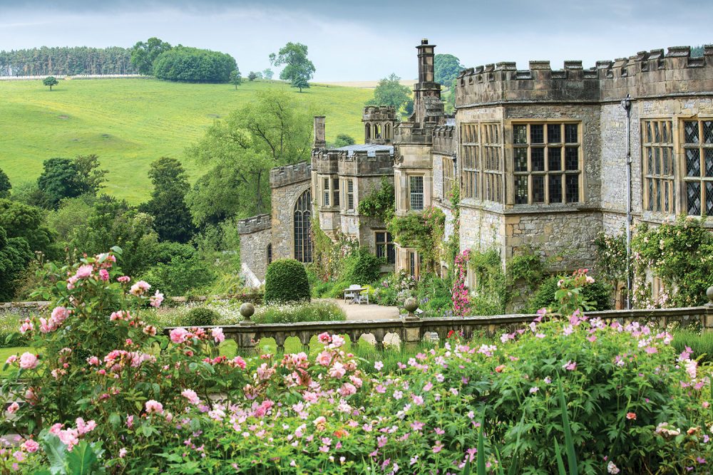 Derbyshire with Flowers