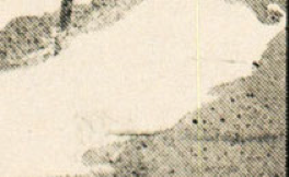 Enlarged bottom right corner of the initial letter, showing the cross-screen lines and dots creating tonal gradations in the halftone engraving.