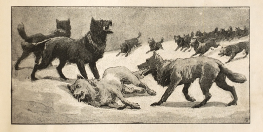 Everard Hopkins: Inset illustration of the wolf pack