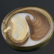 Brooch containing human hair.