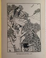 Turkish Fairy Tales "The Damsel and the Old Witch"