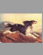 Colored painting of Flossy by Emily Brontë ca. 1843